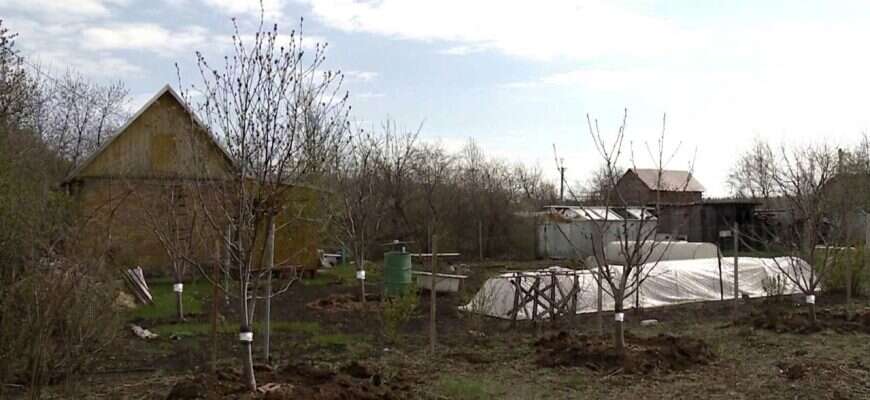 дача дерево синтепон