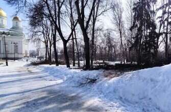 деревья пилят в сквере Лермонтова пень