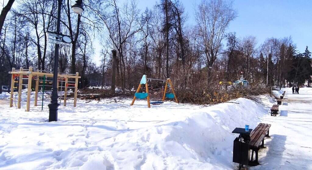 деревья пилят в сквере Лермонтова пень