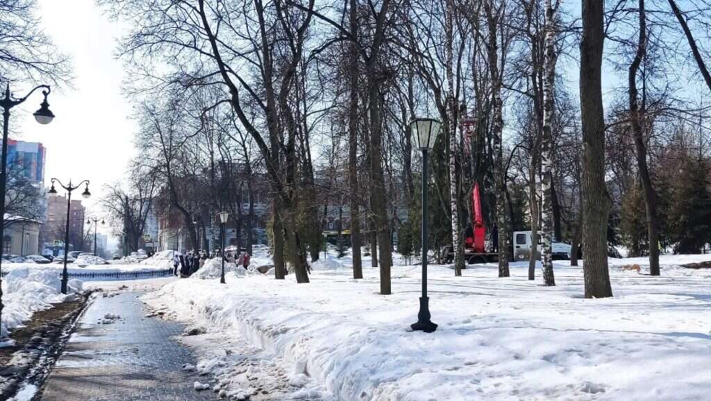 деревья пилят в сквере Лермонтова пень