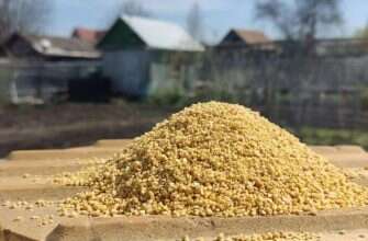 горчичный жмых дача удобрение