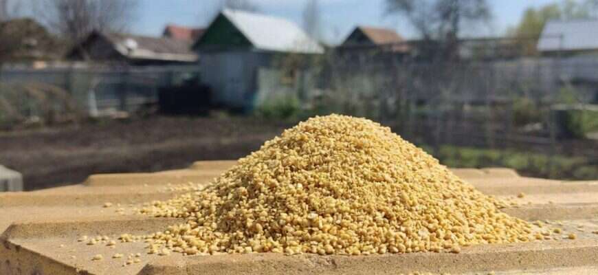 горчичный жмых дача удобрение