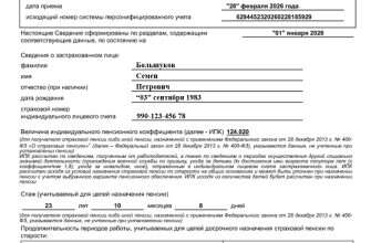 ИПК выписка пенсия стаж