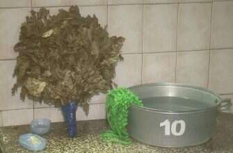 Баня веник таз