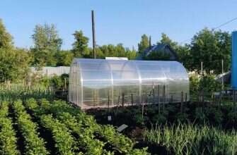 дача теплица поликарбонат