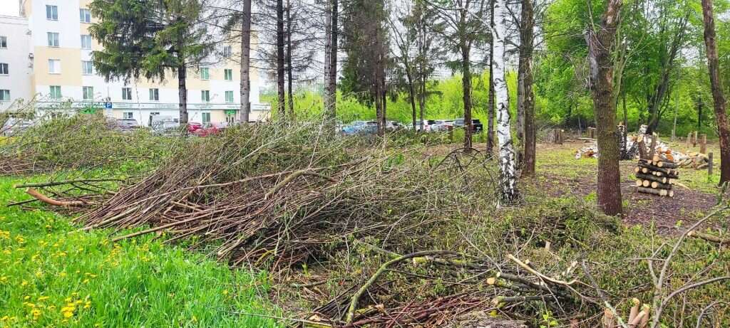 Деревья срубили в Арбекове