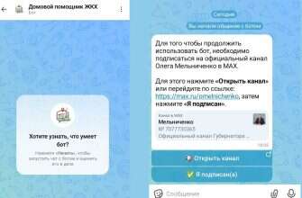 канал-губернатора-в-MAX