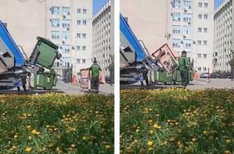 мусор-мусоровоз