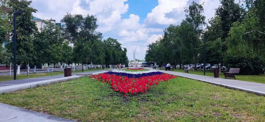 Аллея Славы Росток Пенза город клумба цветы