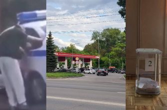 дайджест