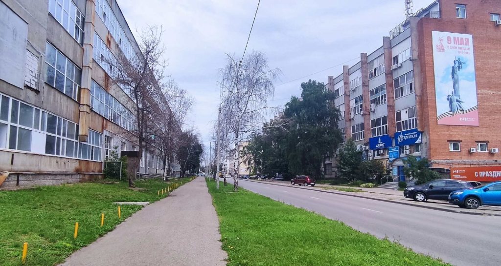 Деревья сухие на Гоголя
