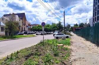 деревья вырубили на Богданова