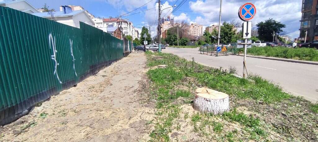 деревья вырубили на Богданова