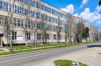 деревья засохли в Пензе