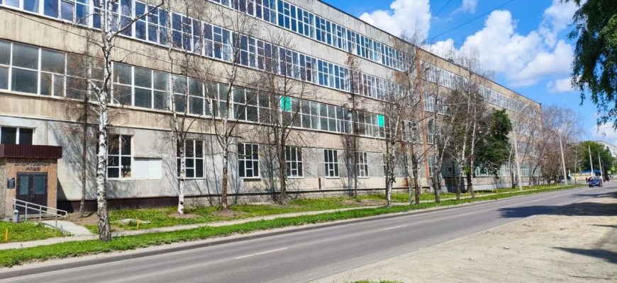 деревья засохли в Пензе