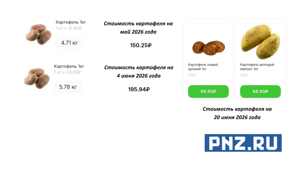 картофель