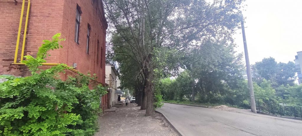 тополя на Красной горке