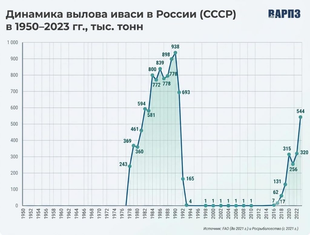 вылов иваси