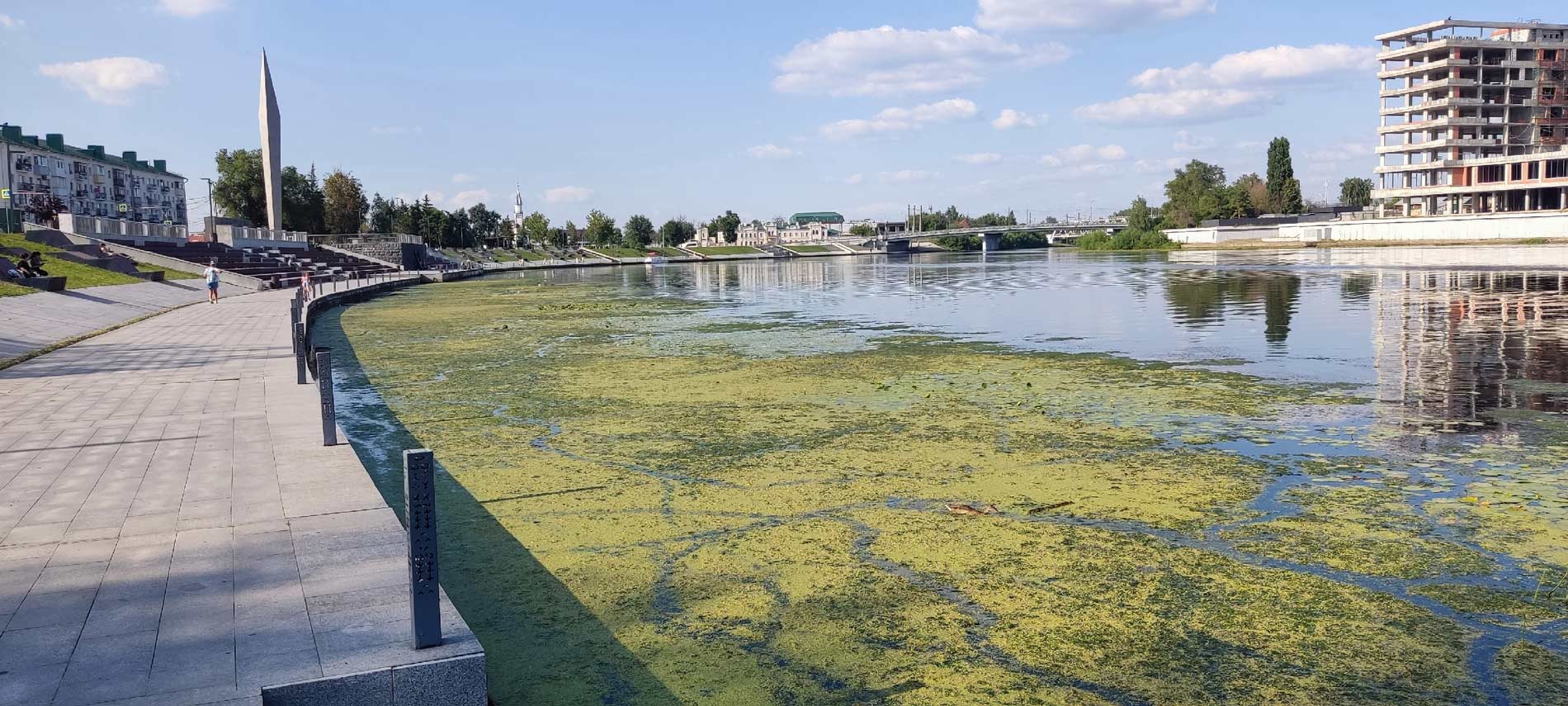 Росток Сура вода цветет