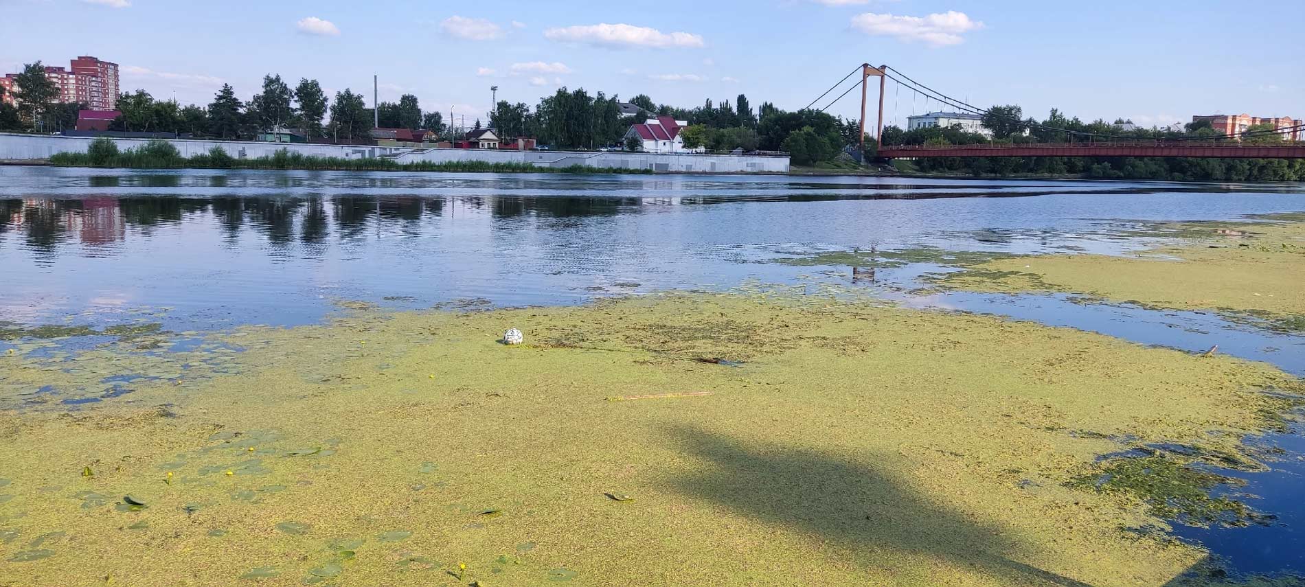 Сура мяч вода