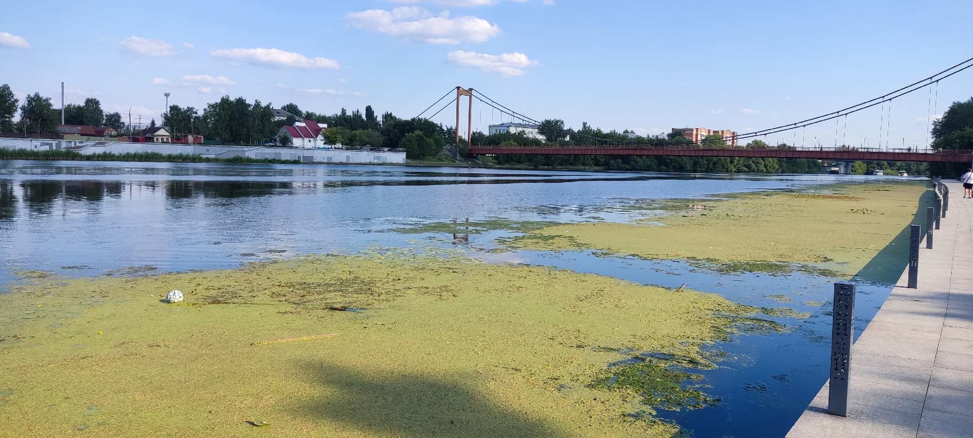Сура Подвесной мост вода цветет