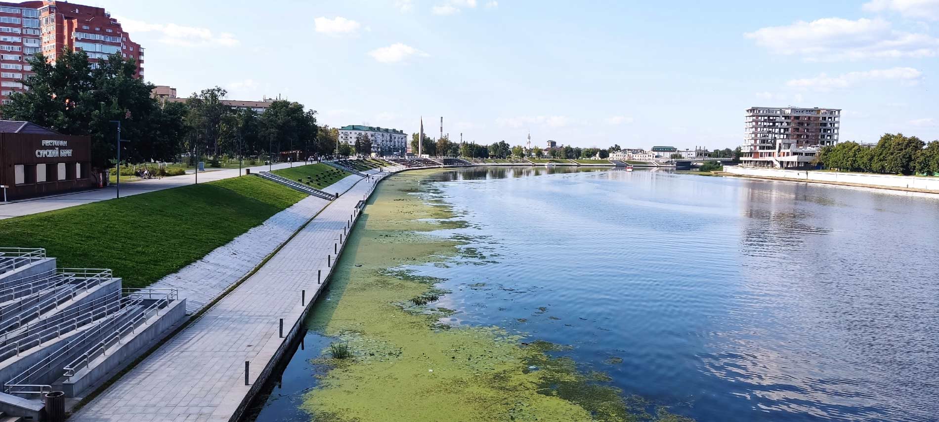 Сура вода цветет