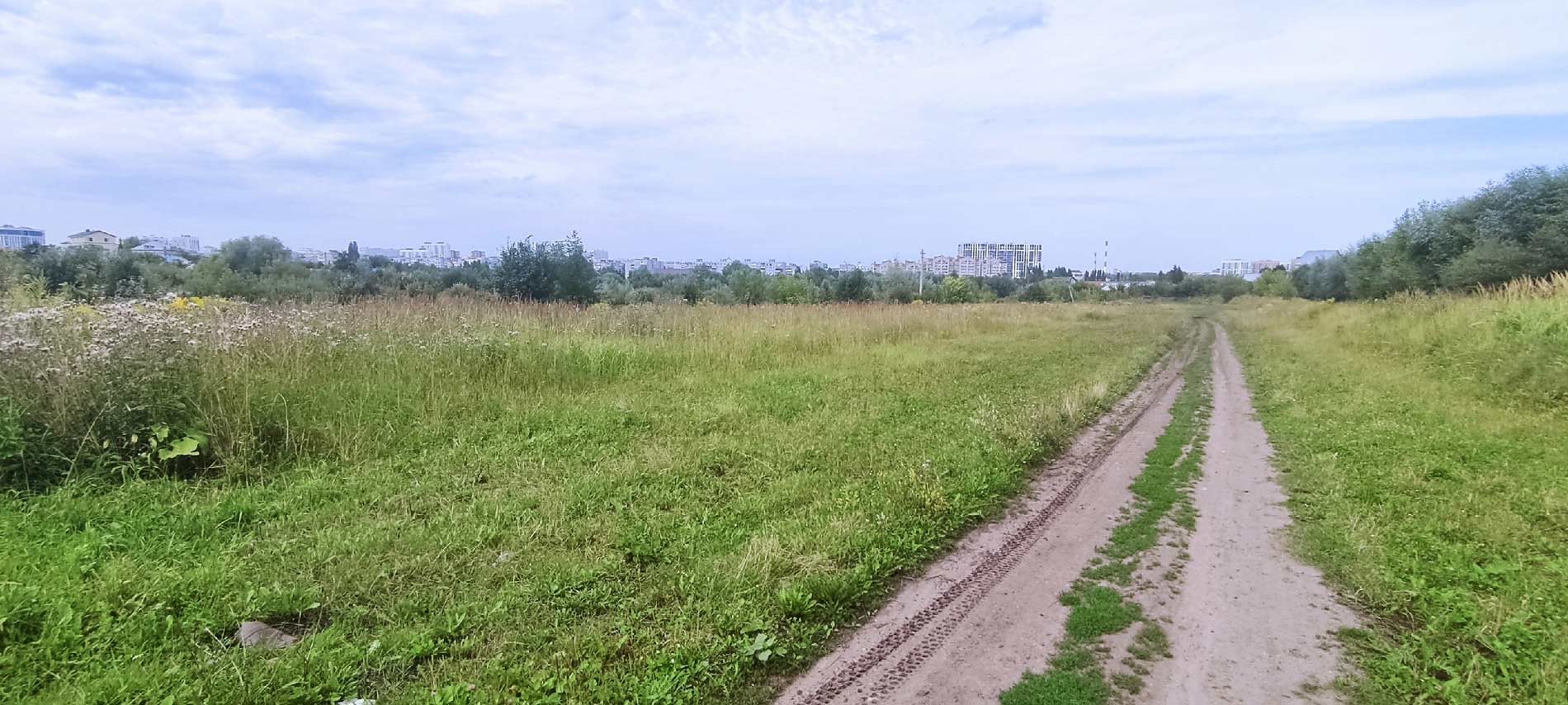 вираж автодром