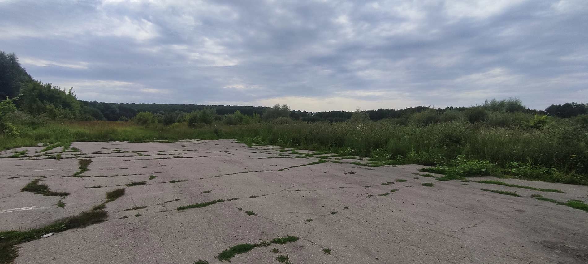 вираж автодром