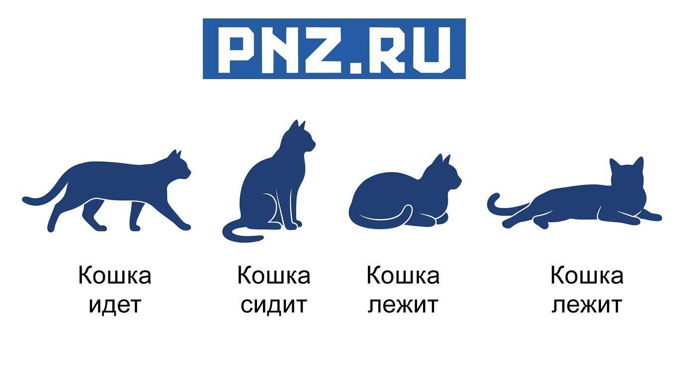 позы-кошек