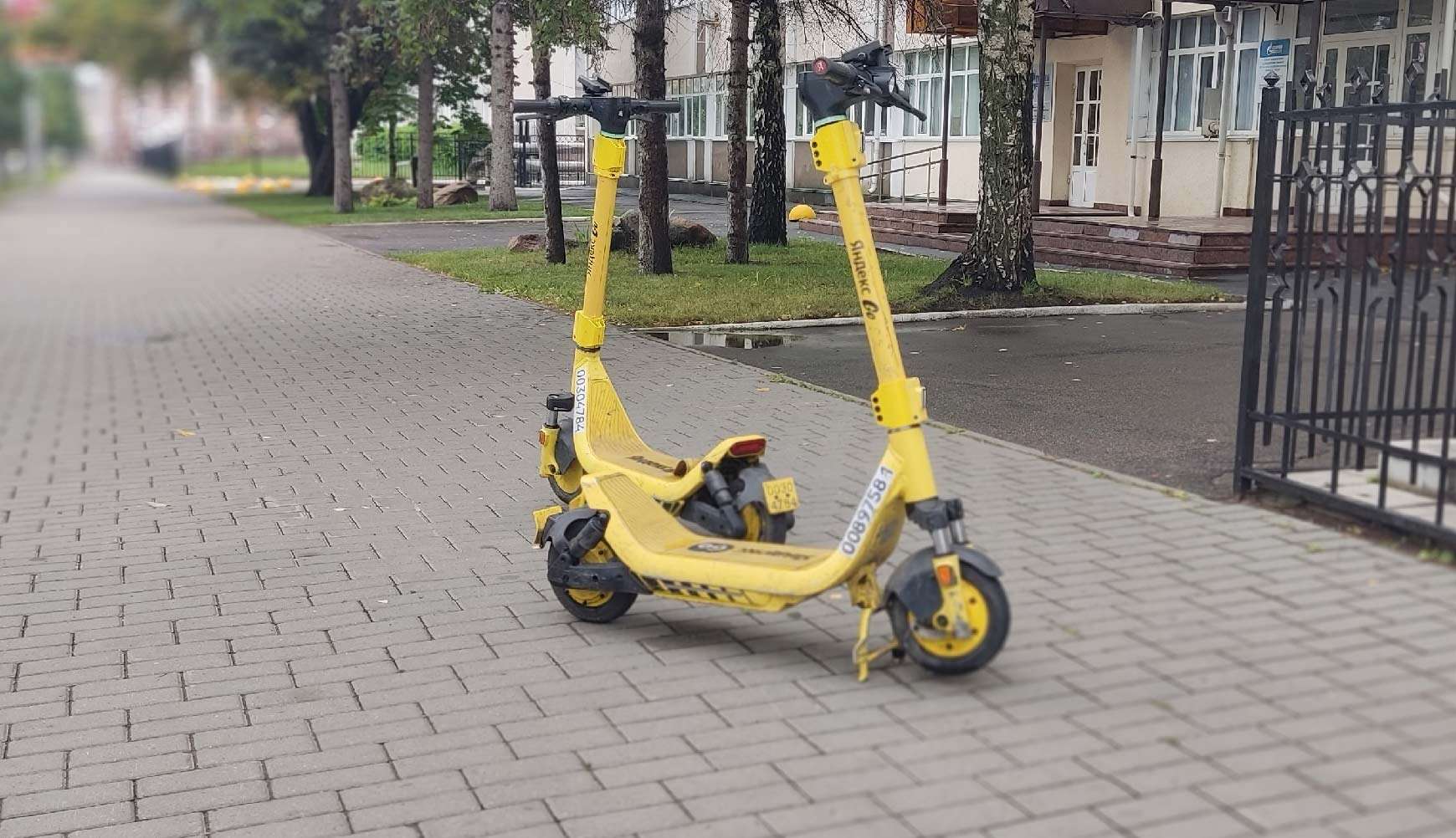 самокаты Яндекс