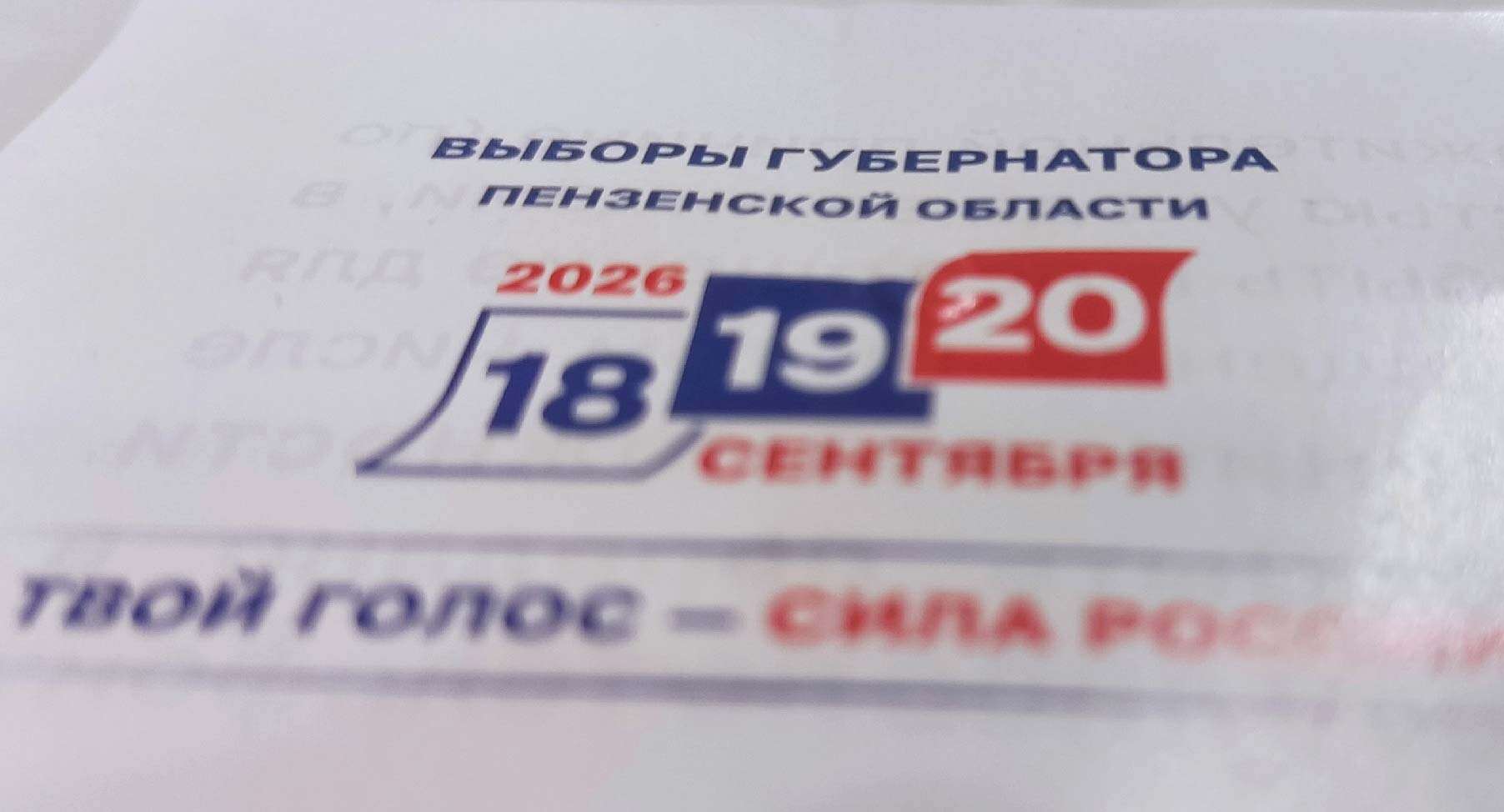 выборы
