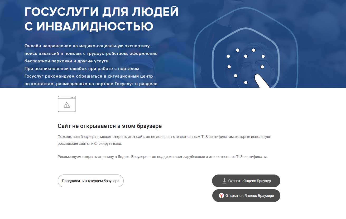 федеральный реестр инвалидов